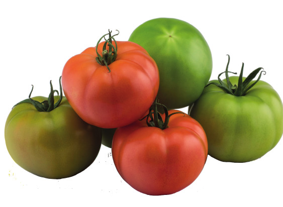 Pomodoro CLX 37847 F1