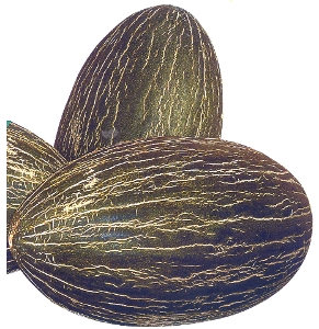 Melone Valiente F1